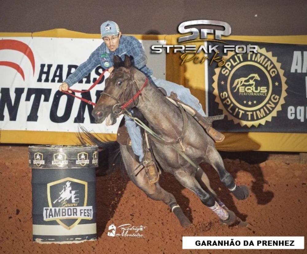 HOLLY SHADY TIMES (Lote 3 em 1) - LP Horses