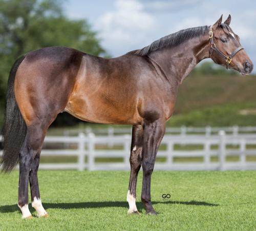 SPIRIT APPEALS RIL
