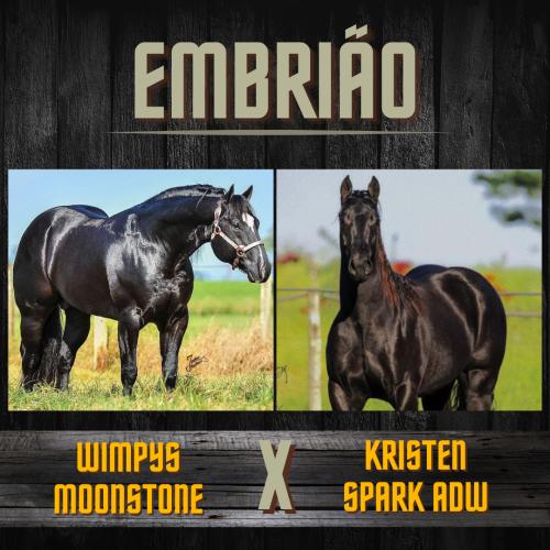 WIMPYS MOONSTONE X KRISTEN SPARK ADW (Embrião a efetivar)