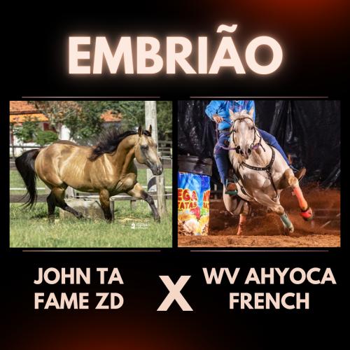 JOHN TA FAME ZD X WV AHYOCA FRENCH (Embrião Efetivado)