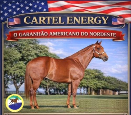 CARTEL ENERGY (1 Cobertura)