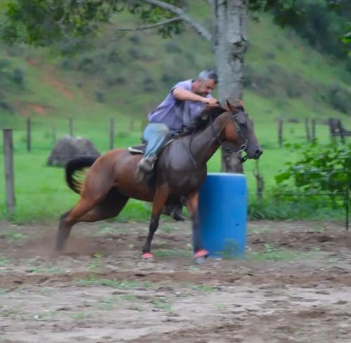 TOPINHA STAR