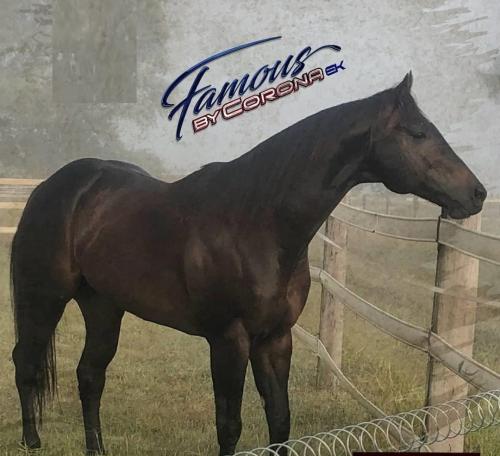 FAMOUS BY CORONA EK (1 Cobertura)