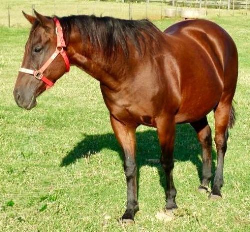 KIARA BADGER MOON (P+)