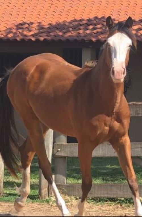 MAVI CIELO DUNIT YBJ