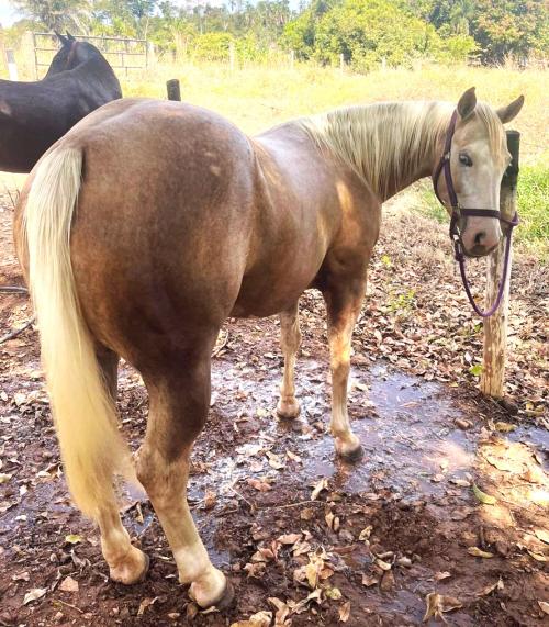 TRINITY N TINSELTOWN