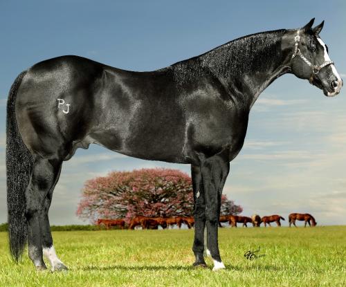 LOCK TO LOAD (S. Congelado)