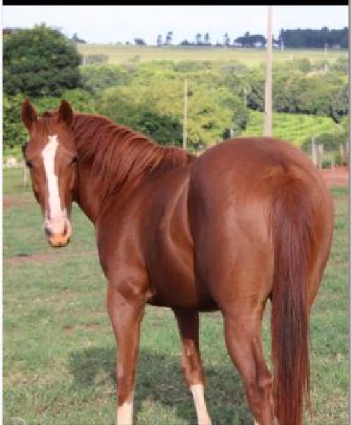DASH TA FAME X JUDY WARS AGR