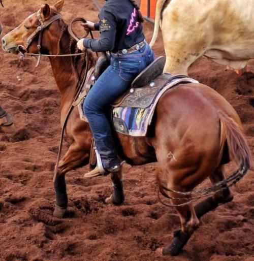 OAKEY LENA TMR (Ventre)