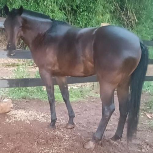 FEITICO FOR ME X MÃE PSI