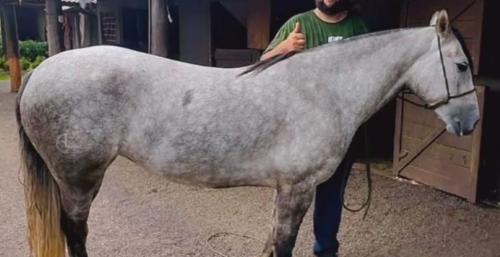 PSS FADA DE SANTO CRISTO