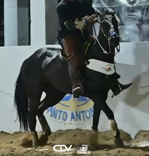 LADY FLY APOLLO