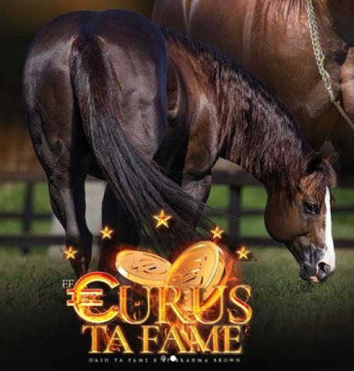 EF EURUS TA FAME (S. Congelado)