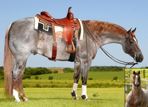 CHRISTMAS TYME (1 Cobertura)