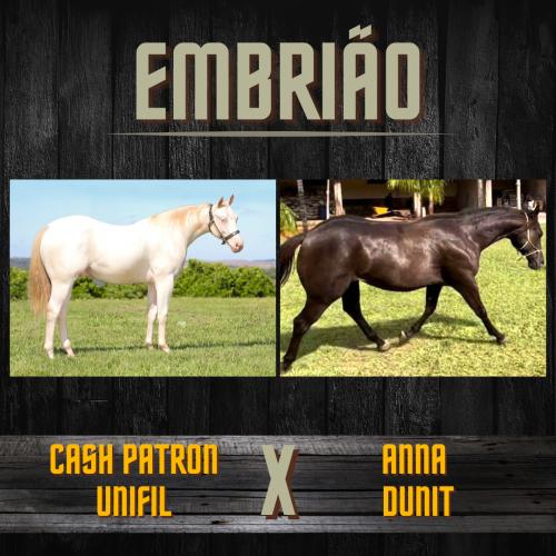 CASH PATRON UNIFIL X ANNA DUNIT (Embrião a efetivar)