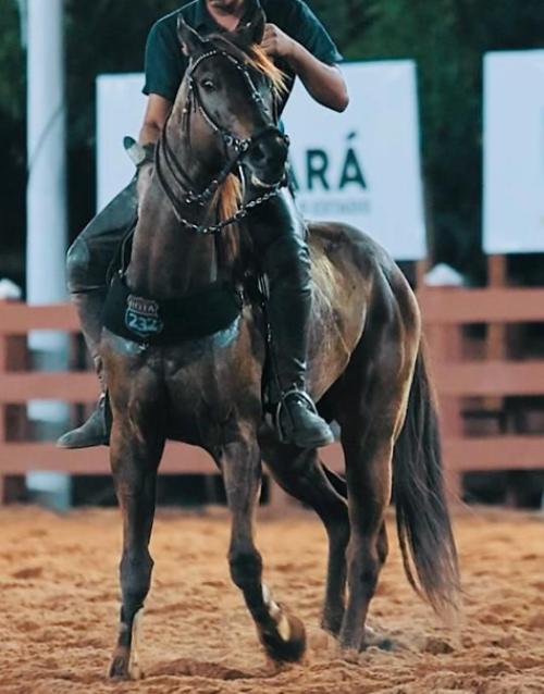 JHONY DEVONS SUREBET