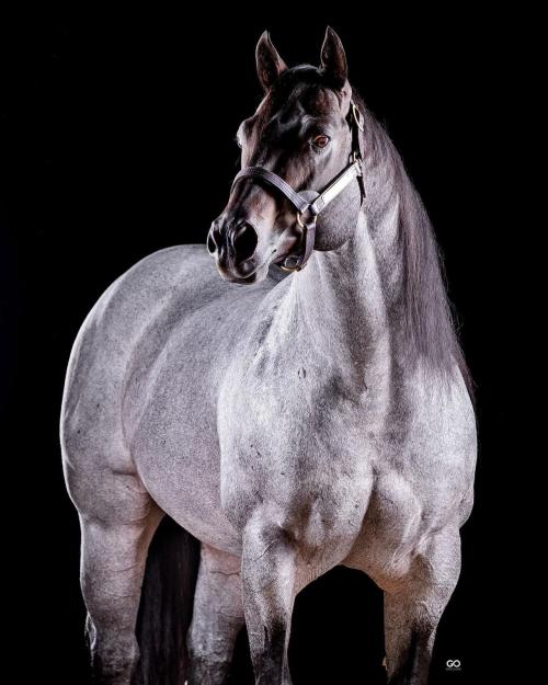 STREAK OF MOON (1 Cobertura)