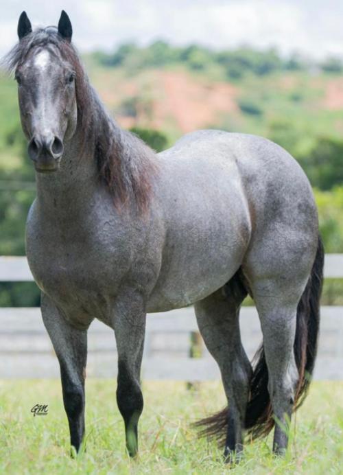 ONCE IN A BET (S. Congelado)