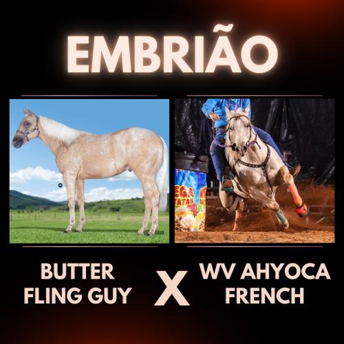 BUTTER FLING GUY X WV AHYOCA FRENCH (Embrião Efetivado)