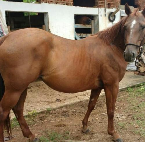 LITTLE MAKIN TROUBLE