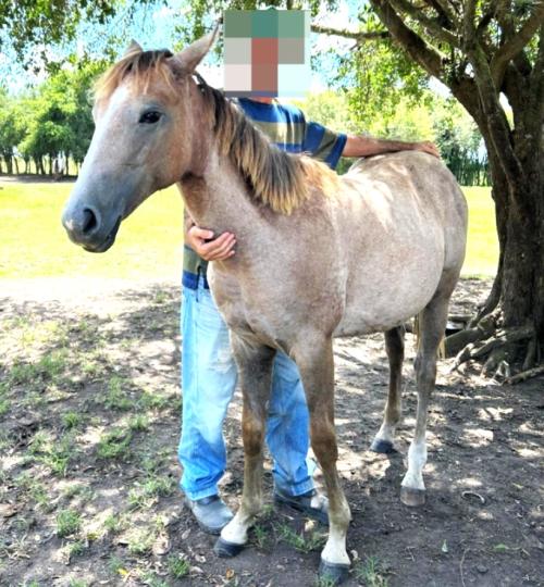 QUISTA BOONSMALL SWR