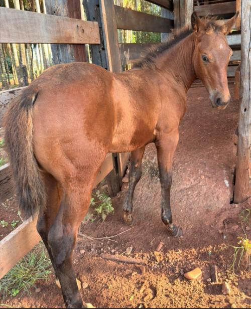 DARK TAG X REYLENA TO THE MOON