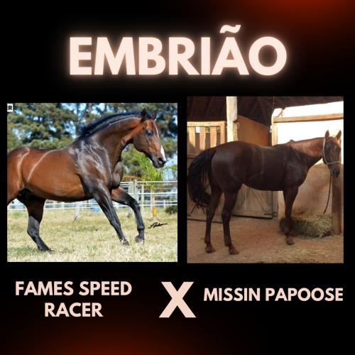 FAMES SPEED RACER X MISSIN PAPOOSE (Embrião efetivado)