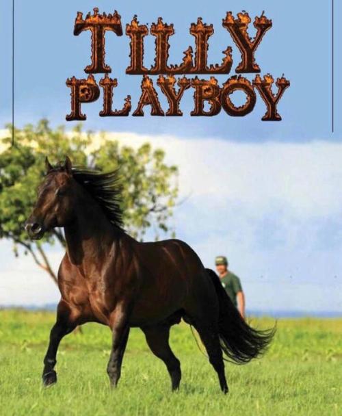 TILLY PLAYBOY (S. Congelado)